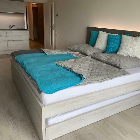 Apartmán Denisa Lipno nad Vltavou Kültér fotó