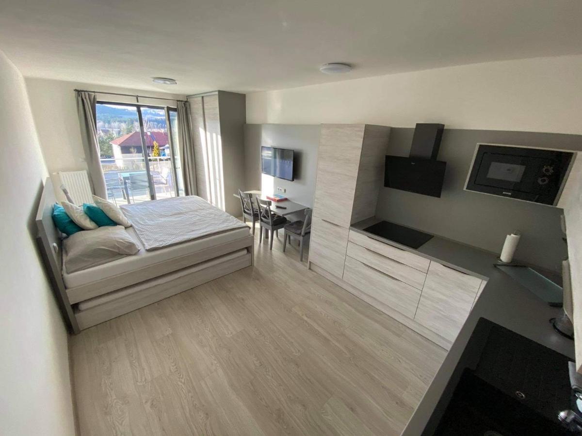 Apartmán Denisa Lipno nad Vltavou Kültér fotó