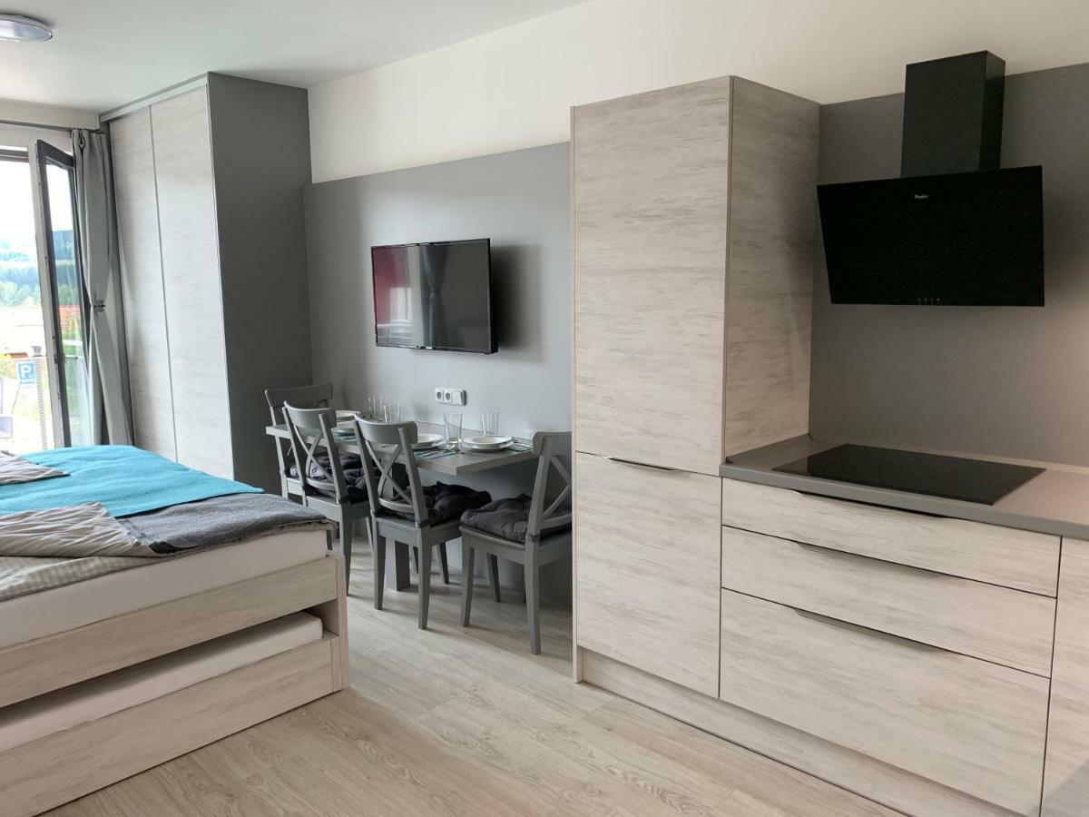 Apartmán Denisa Lipno nad Vltavou Kültér fotó