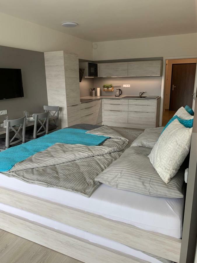 Apartmán Denisa Lipno nad Vltavou Kültér fotó