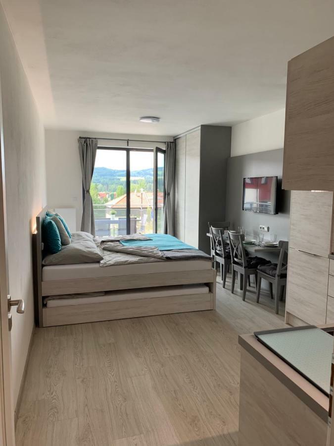 Apartmán Denisa Lipno nad Vltavou Kültér fotó